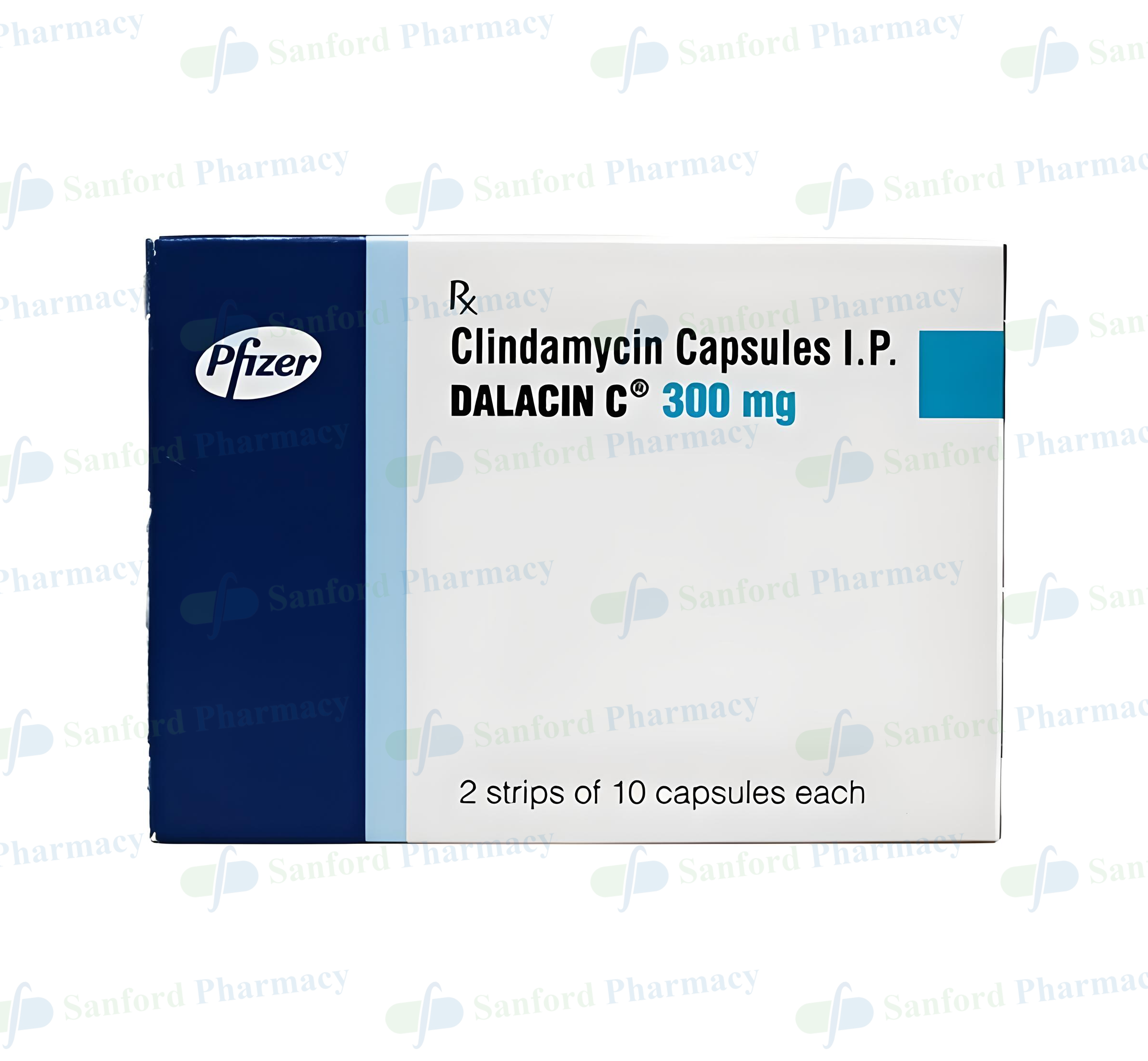 clindamycin for dogs